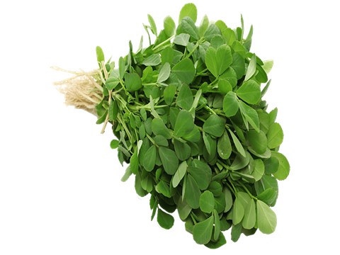 fresho! Fenugreek / Methi - Hydroponically Grown, 100 g