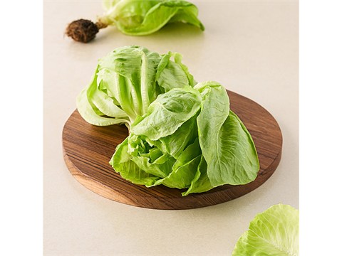 fresho! Butterhead Lettuce - Hydroponically Grown With Live Roots, 1 pc