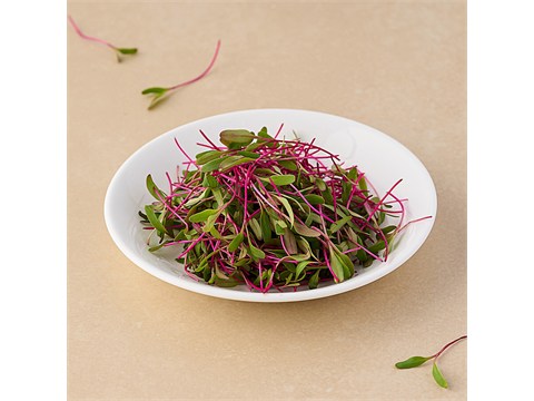 fresho! Beetroot - Microgreen, 20 g