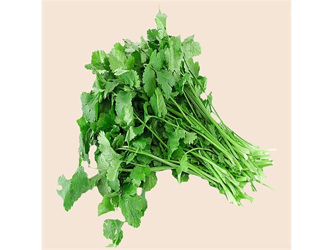 fresho! Coriander - Hydroponically Grown, 100 g