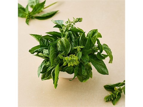 fresho! Italian Basil, 100 g