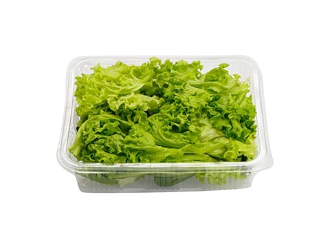 fresho! Lettuce Mix - Hydroponically Grown, 150 g