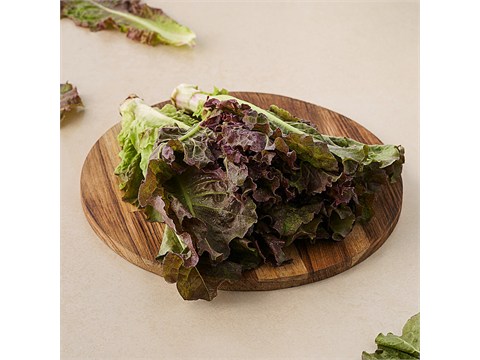 fresho! Lettuce - Red, Approx 70 - 100 g