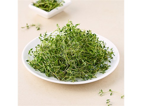 fresho! Thyme, 1 kg