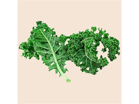 fresho! Hydroponics Curled Kale, 50 g