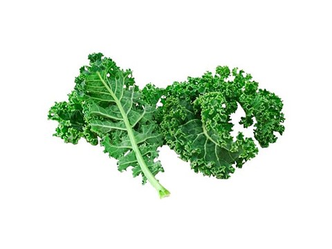 Trikaya Baby American Kale - Curled Leaves, 1 pc
