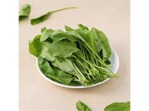 fresho! Baby Spinach - Hydroponically Grown, 100 g