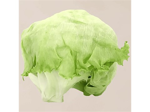 fresho! Lettuce Iceberg - Organically Grown, 1 pc