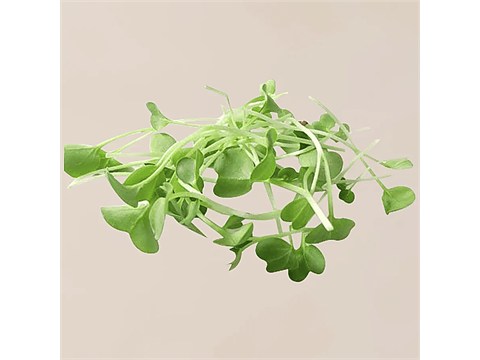 fresho! Radish Microgreens, 50 g