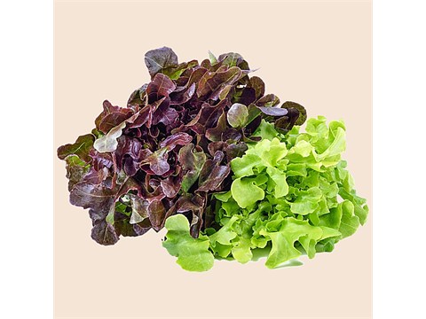 fresho! Lettuce Mix - Hydroponically Grown, 200 g