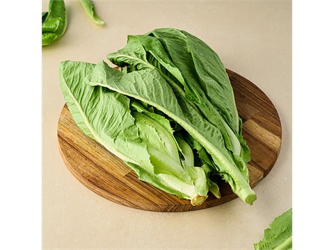 fresho! Romaine Lettuce - Hydroponically Grown With Live Roots, 1 pc