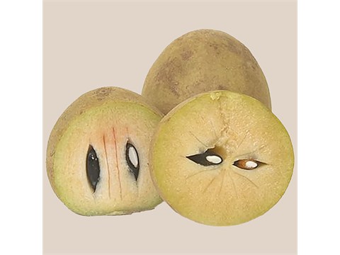 fresho! Sapota, 1 kg