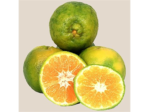 fresho! Nagpur Orange - Small, 2 kg