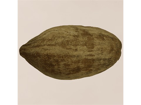 fresho! Dry Coconut, 1 pc
