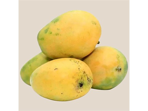 fresho! Banganapalli (Sap Mark) Mango, 2 kg
