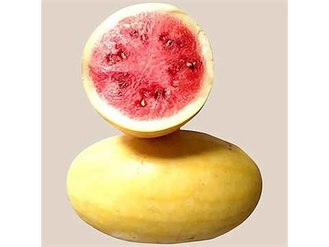 fresho! Watermelon Vaishali, 1 pc