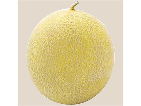 fresho! Muskmelon - Honeydew, 1 pc