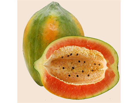 fresho! Papaya - Large, 1 pc