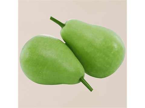 fresho! Bottle Gourd - Round, 1 pc