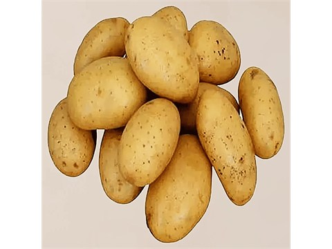 fresho! Potato - Jyoti, 1 kg