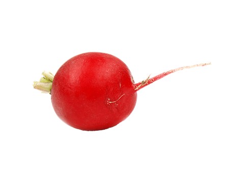fresho! Table Radish, 500 g