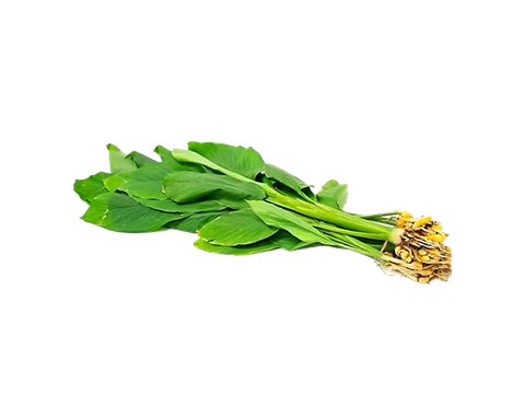 fresho! Turmeric Leaves, 1 pc