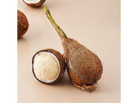 fresho! Coconut Flower - Medium, 1 pc