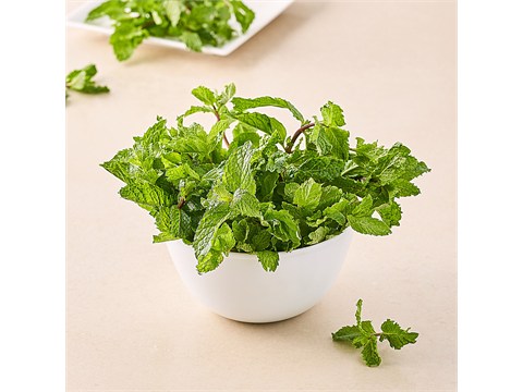 fresho! Mint Leaves - Cleaned, without roots, 1 kg