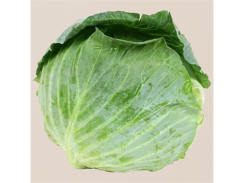 fresho! Cabbage - Small, 1 pc