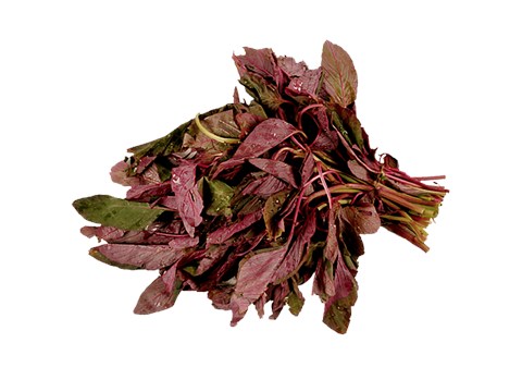 fresho! Amaranthus - Red, 1 pc