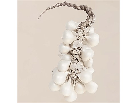 fresho! Onion - Alibag, White, 1 Bunch