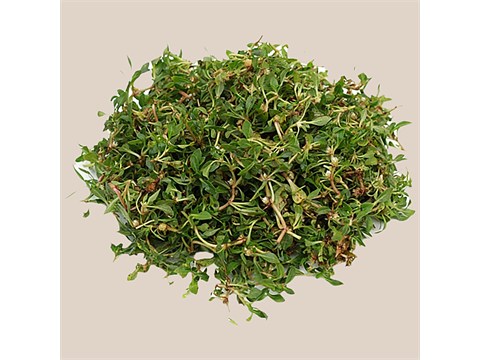 fresho! Ponnanganni Keerai/Ponagantikura, 1 pc