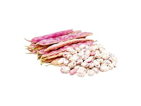 fresho! Ooty Cranberry Beans, 250 g