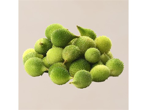 fresho! Spine Gourd, 1 kg
