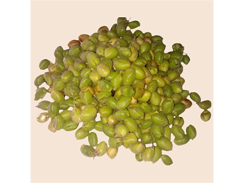fresho! Hari boot, 500 g