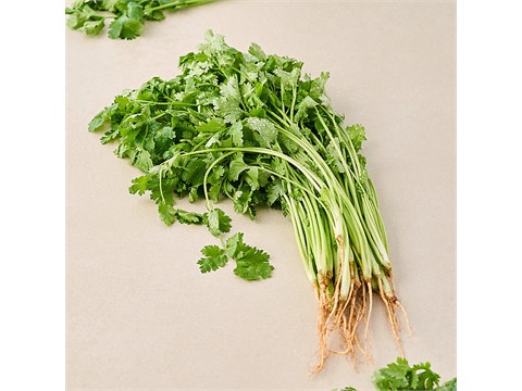 fresho! Coriander Leaves With Roots - Enhances Flavour Of The Dishes, 100 g
