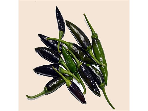 fresho! Bullet Chilli - Black, 500 g