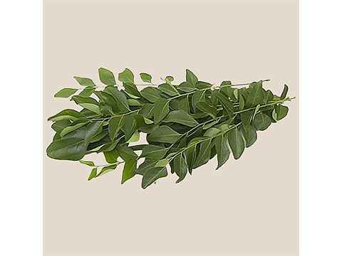 fresho! Curry Leaves - Institutional, 1 kg