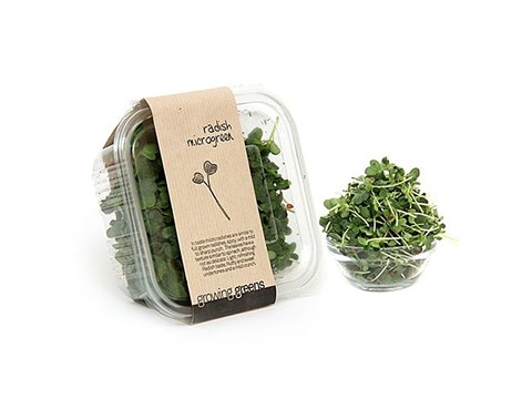 Growing Greens Microgreen - Radish, 50 g
