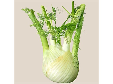 fresho! Fennel, 250 g