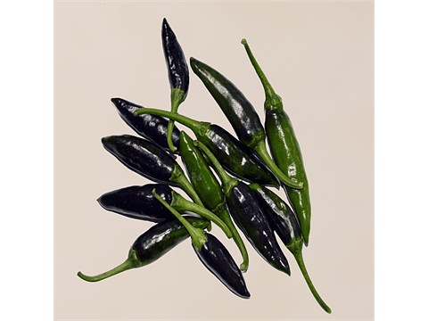 fresho! Bullet Chilli - Black, 1 kg