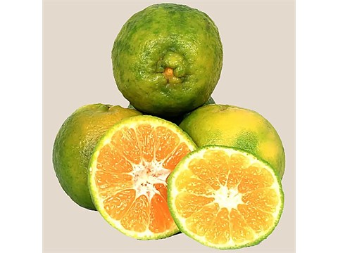 fresho! Orange - Organically Grown, 1 kg