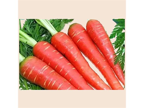 fresho! Carrot - Organically Grown, Red, 500 g