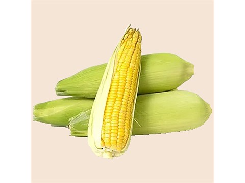 fresho! Sweet Corn - Organically Grown, 1 pc