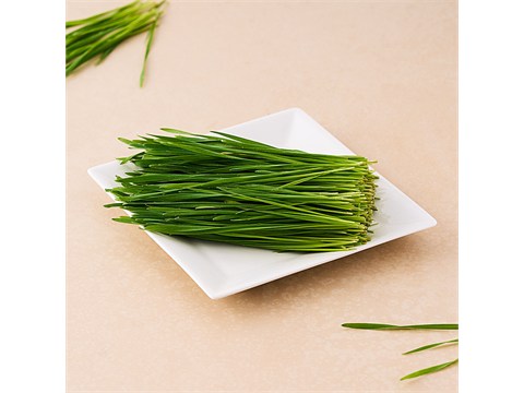 fresho! Wheat Grass - Organically Grown, 50 g