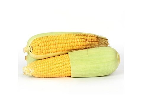Organic Sweet Corn, 1 pc