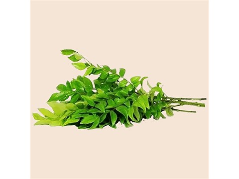 fresho! Curry Leaves - Organically Grown, 100 g