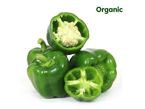 Organic Green Capsicum, 500 g