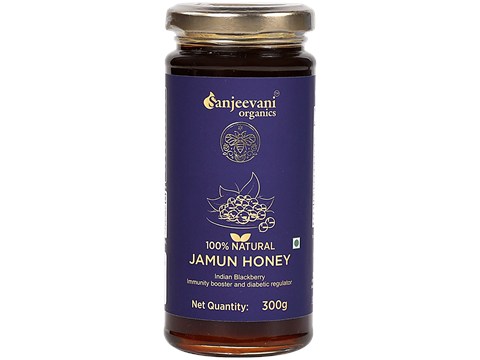 Sanjeevani Organics Natural Jamun Honey, 300 g